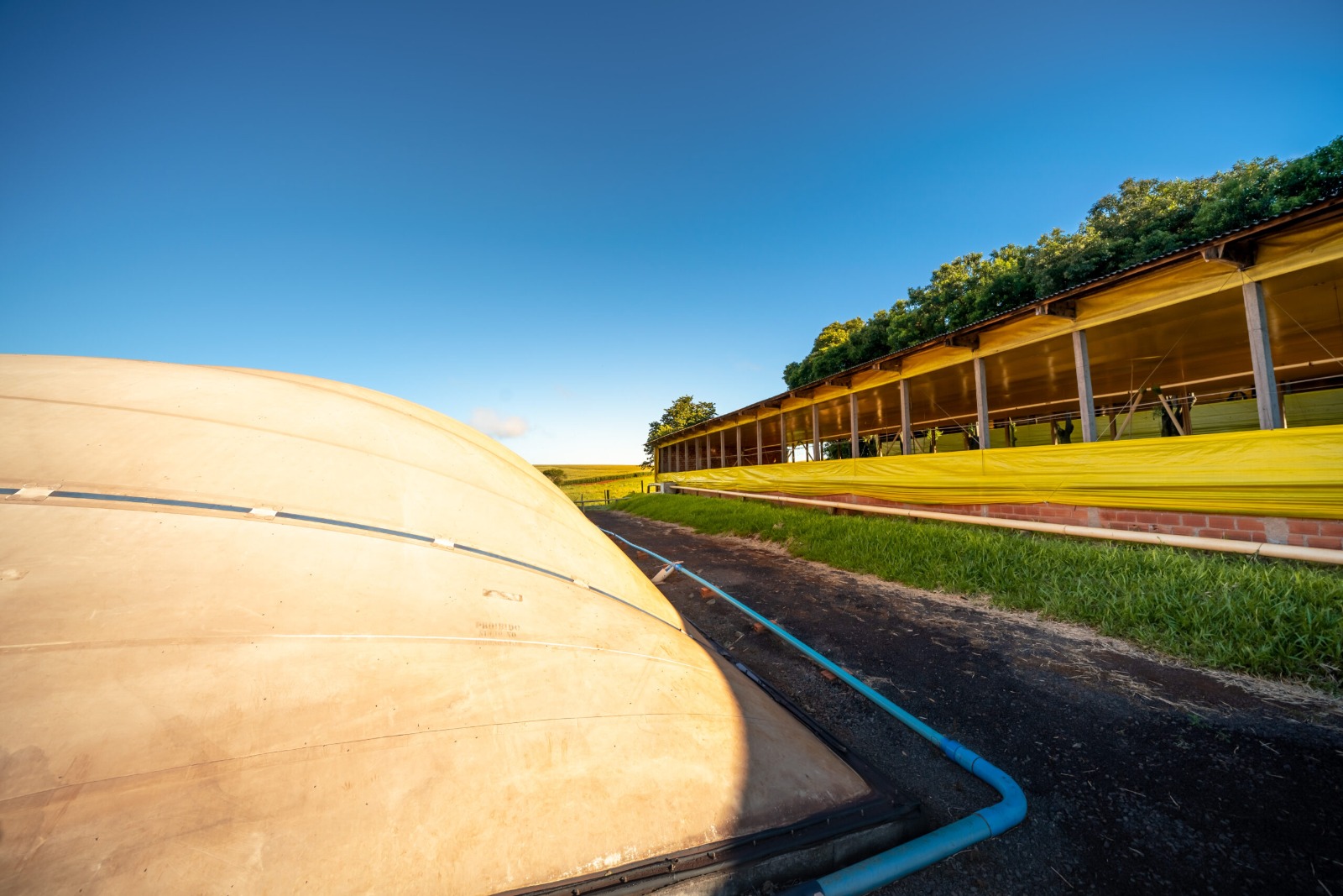 Interior de aviário climatizado — operação rural de alta demanda energética